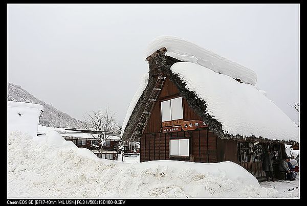 IMG_2550