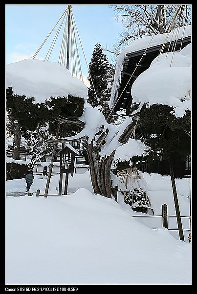 IMG_2743