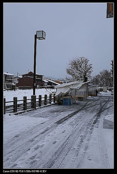 IMG_2810