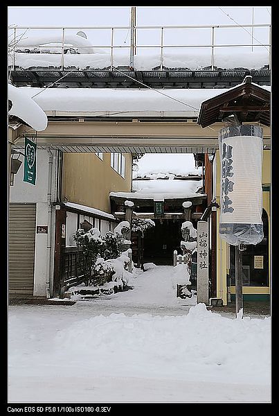 IMG_2853