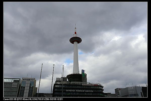 IMG_2958