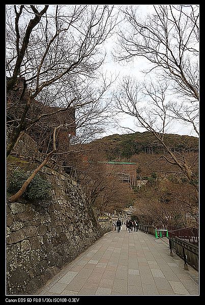 IMG_3153
