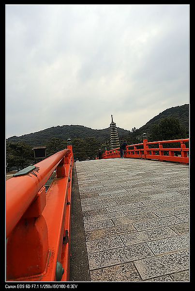 IMG_3393