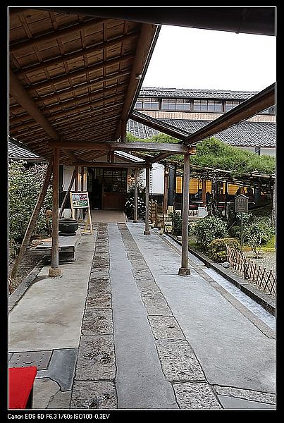 IMG_3455
