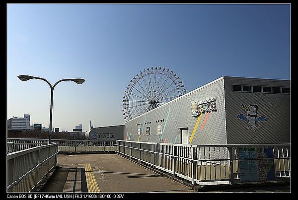 IMG_3535