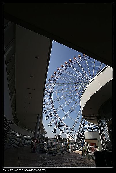 IMG_3539