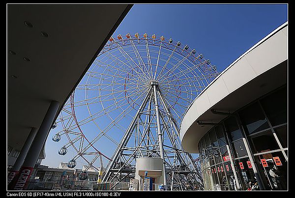 IMG_3541