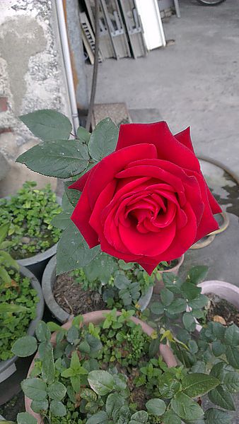 2013-02-08 16.23.37