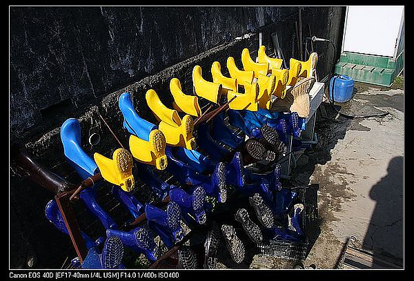 IMG_9788