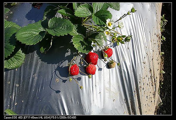IMG_9791