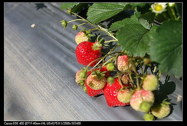 IMG_9803
