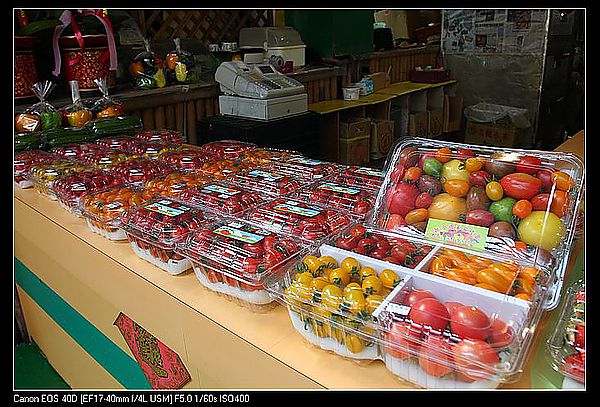 IMG_9829