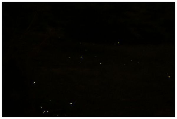 IMG_5505