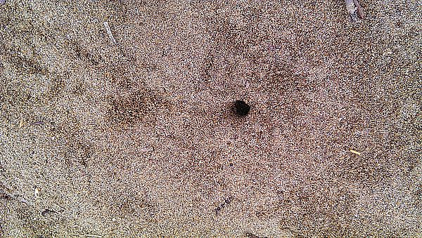 2013-06-16 10.53.48