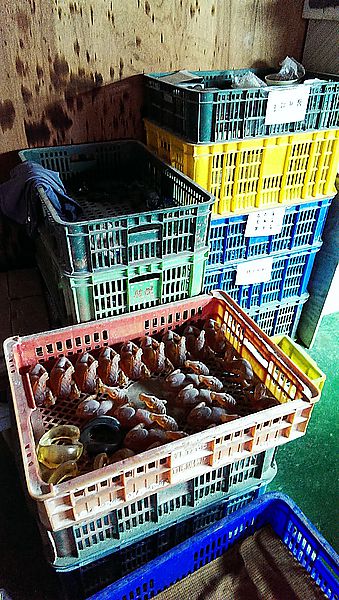 2013-07-02 15.54.00.jpg