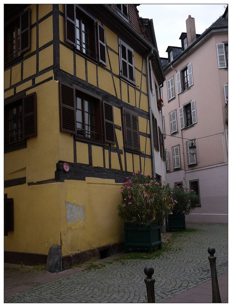 P1450671.jpg