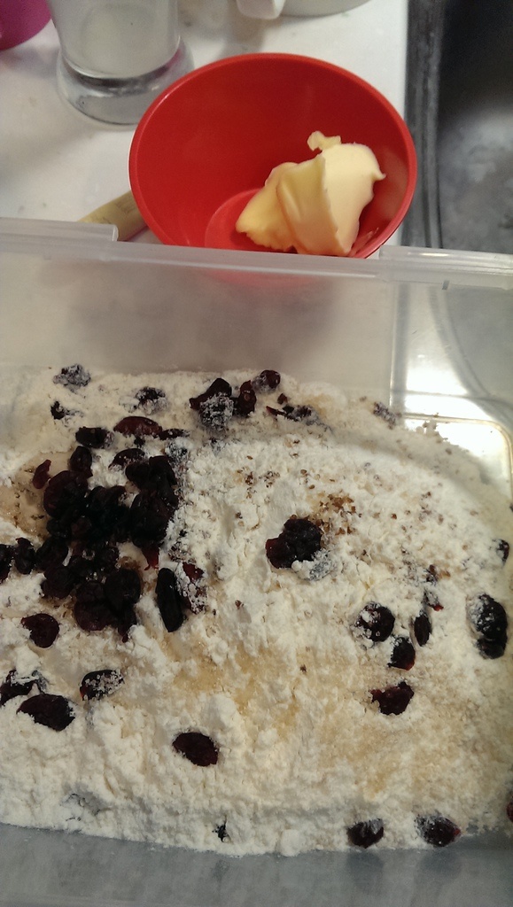 2013-08-19 09.20.24.jpg