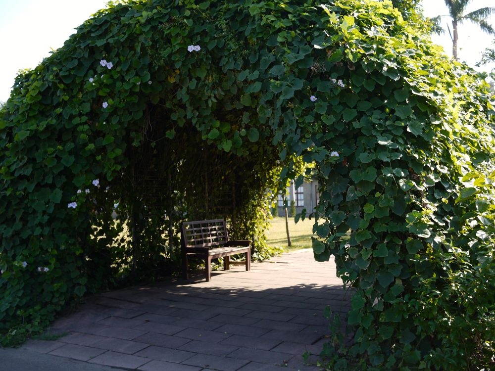 P1490655.jpg
