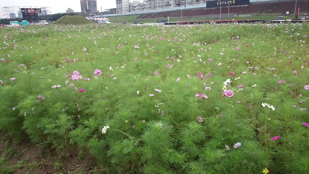 2013-12-22 10.45.19.jpg