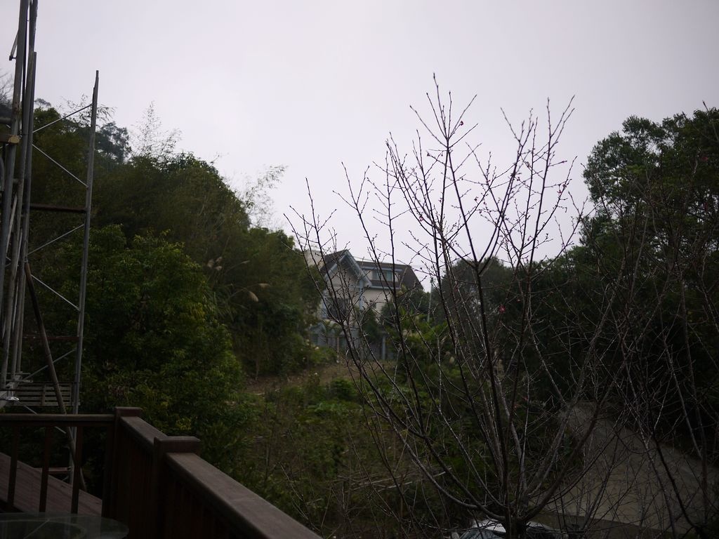 P1500218.jpg