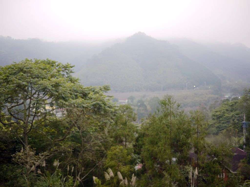 P1500217.jpg