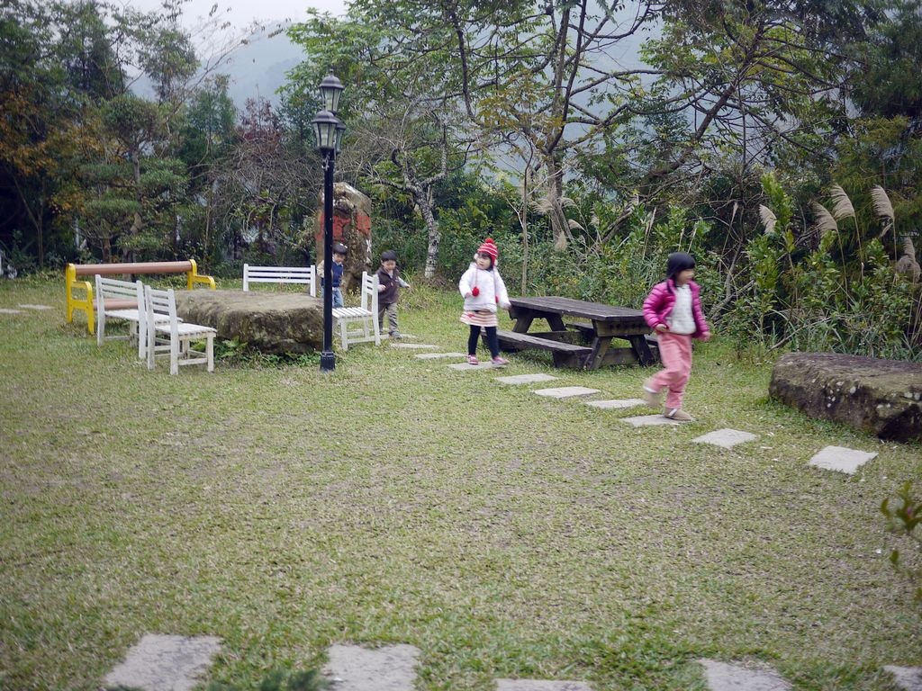 P1500209.jpg
