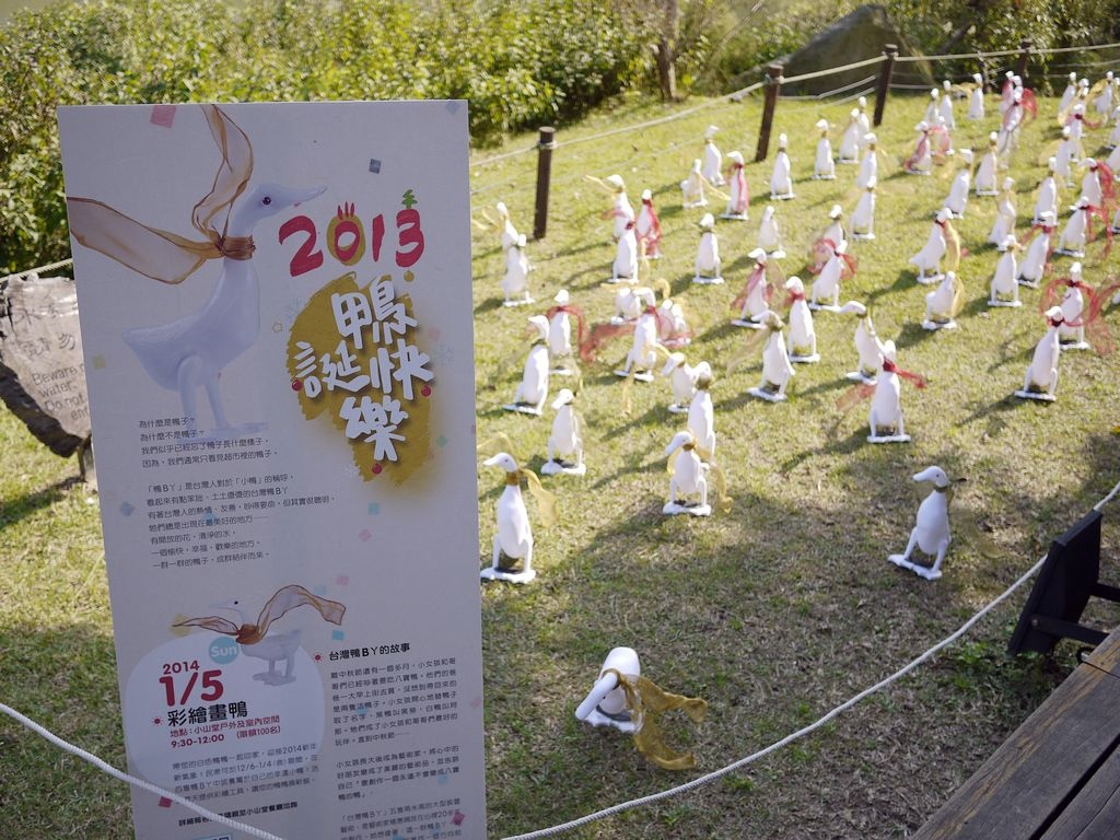 P1500424.jpg