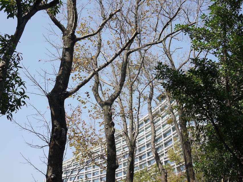 P1500425.jpg