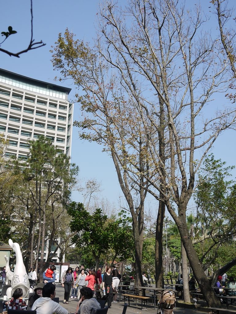 P1500431.jpg