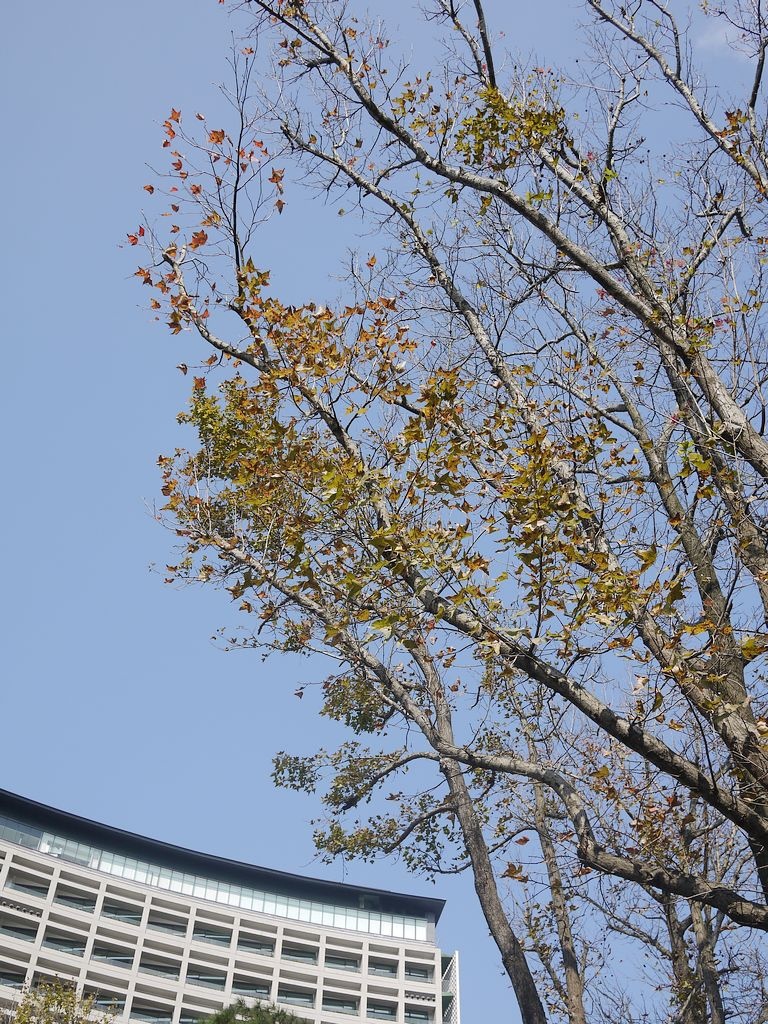 P1500455.jpg