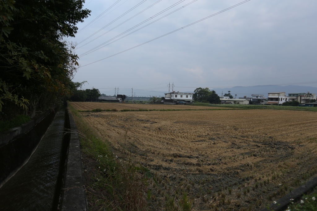 IMG_2670.JPG