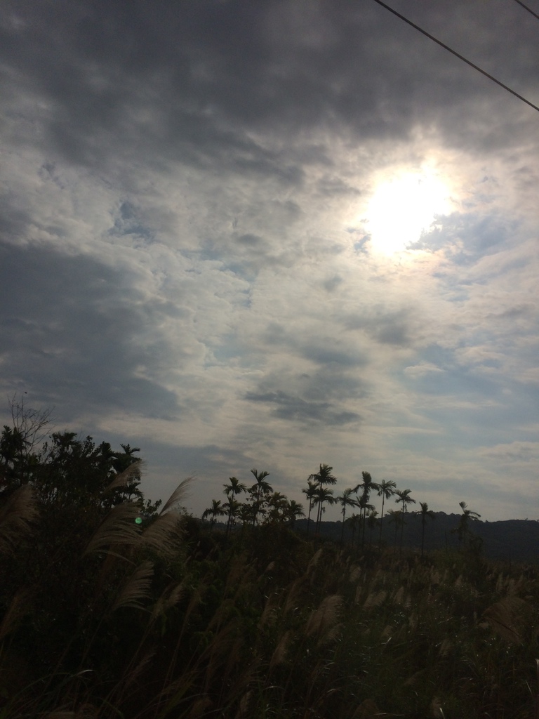 2014-01-18 09.21.11.jpg