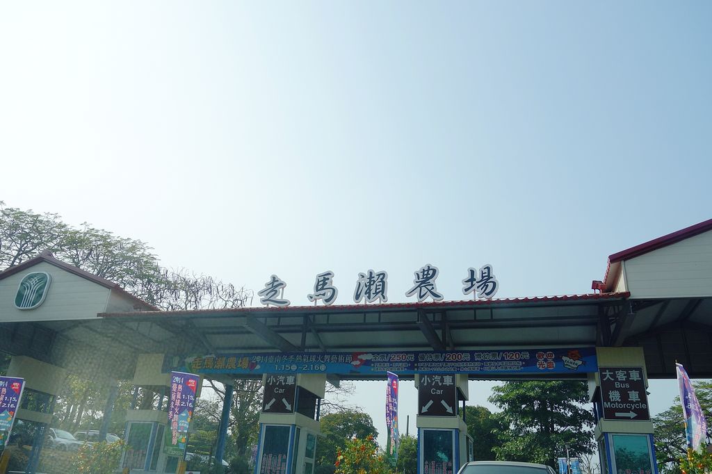 DSC00299.jpg
