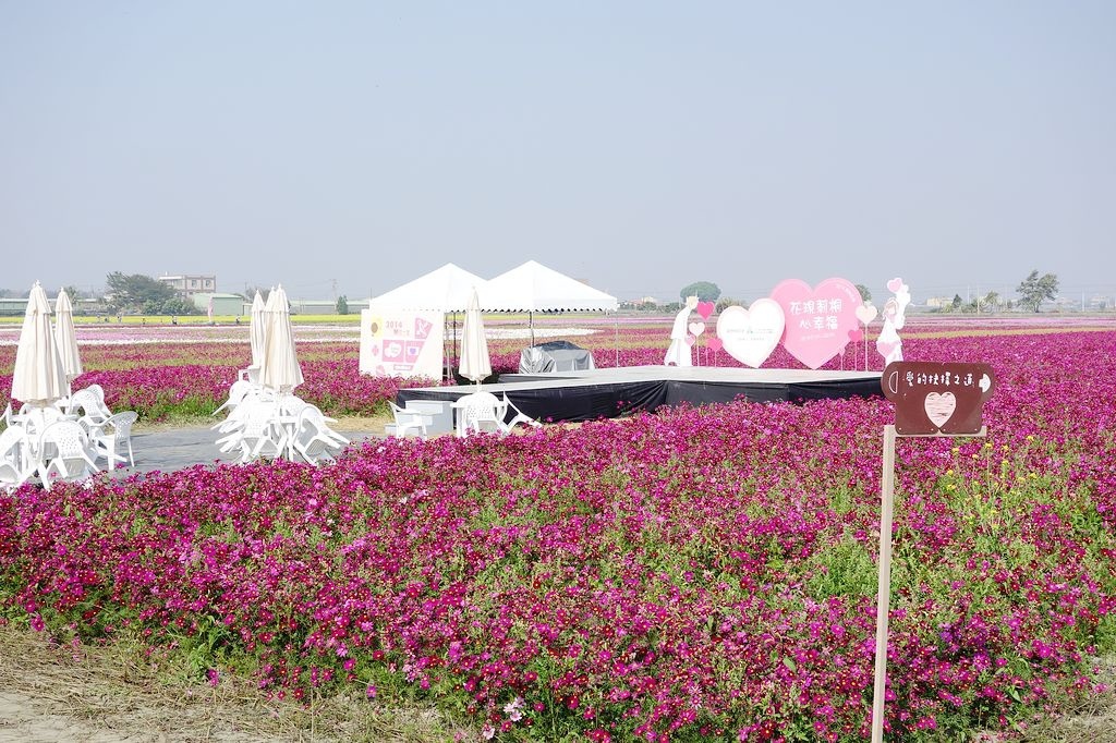 DSC00667.jpg