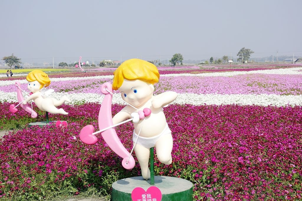 DSC00672.jpg