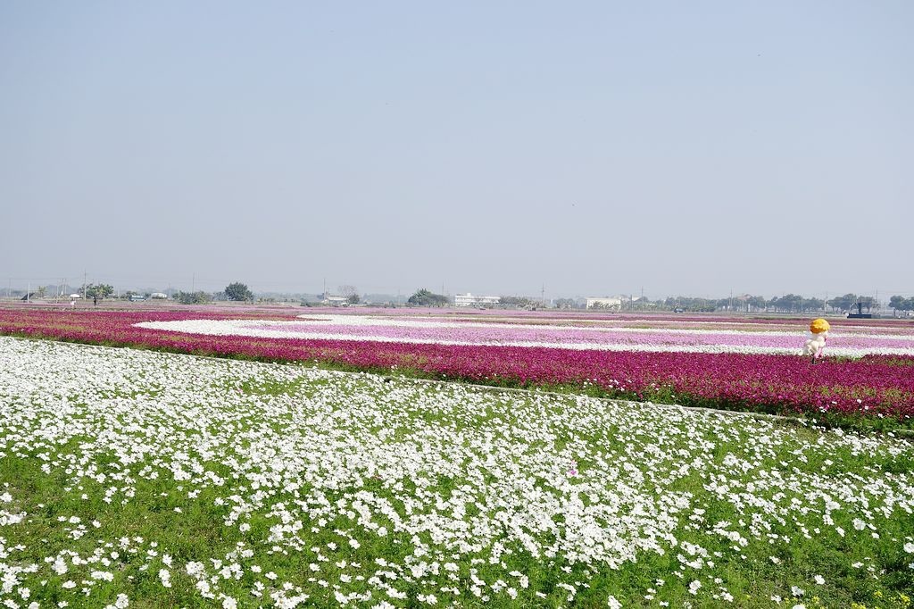 DSC00675.jpg