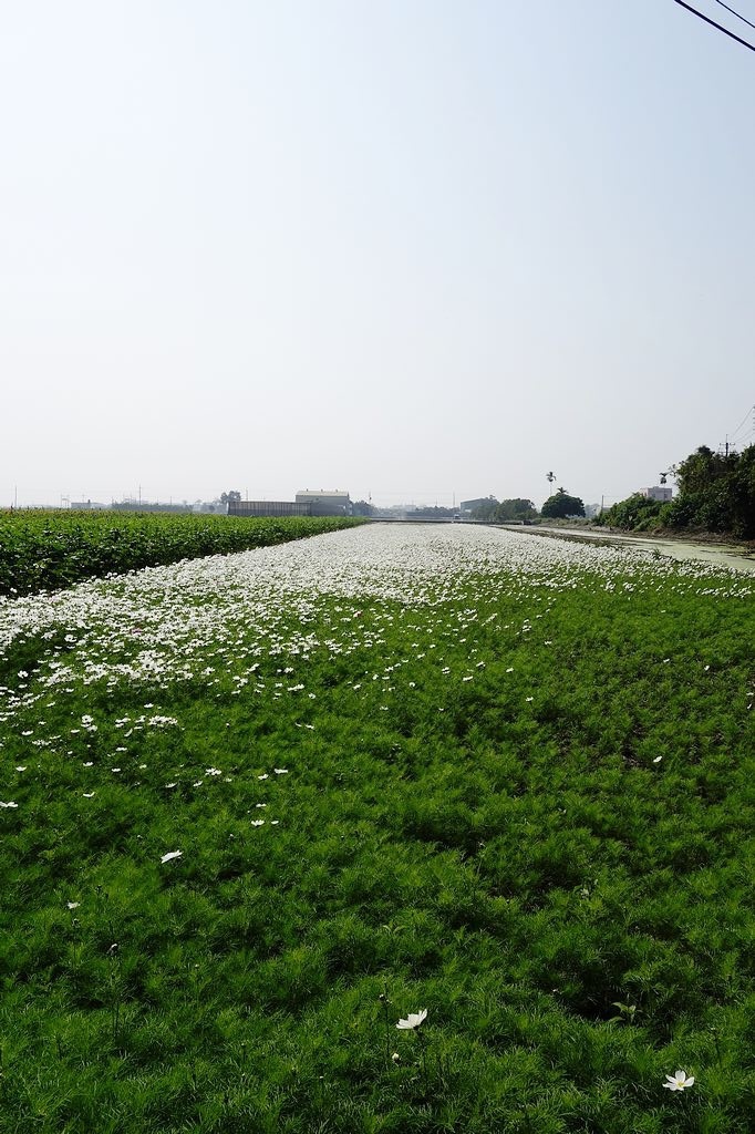 DSC00684.jpg