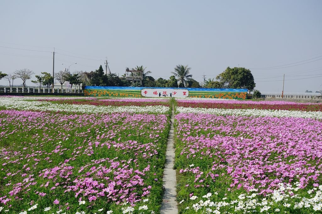 DSC00693.jpg