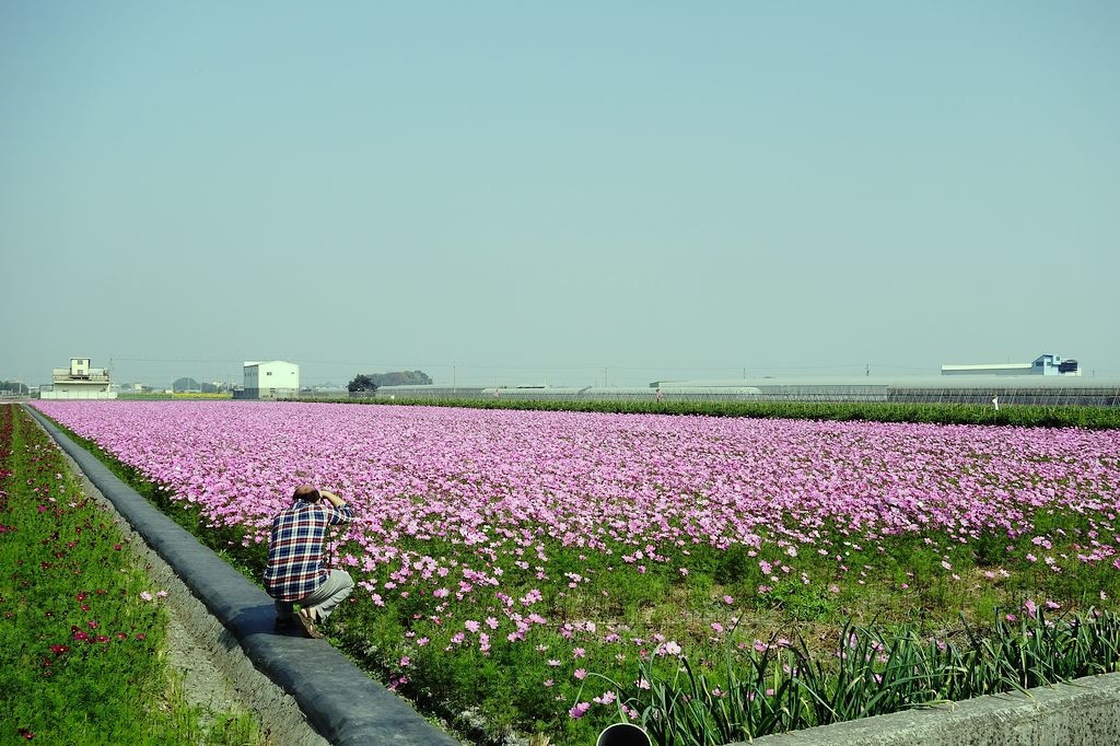 DSC00697.jpg