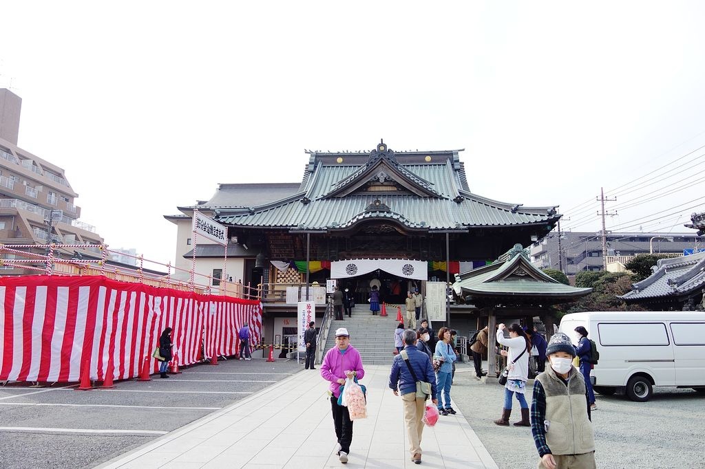 DSC01204.jpg
