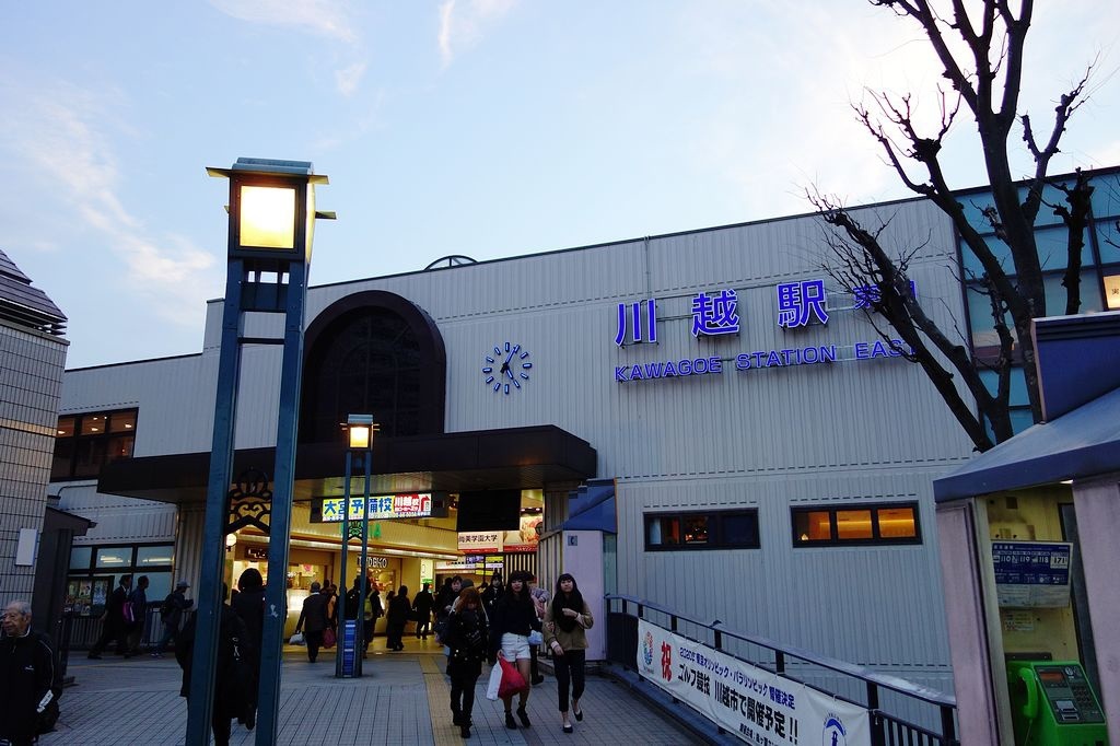 DSC01246.jpg