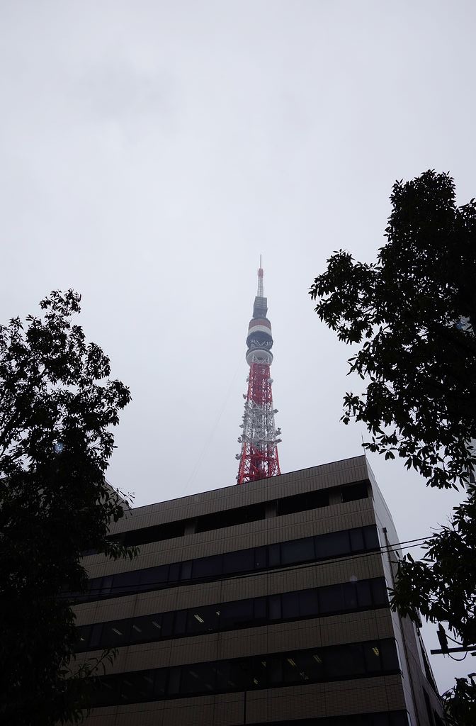 DSC01405.jpg
