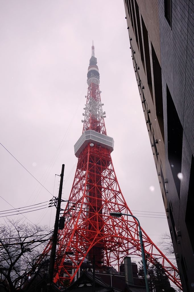 DSC01406.jpg