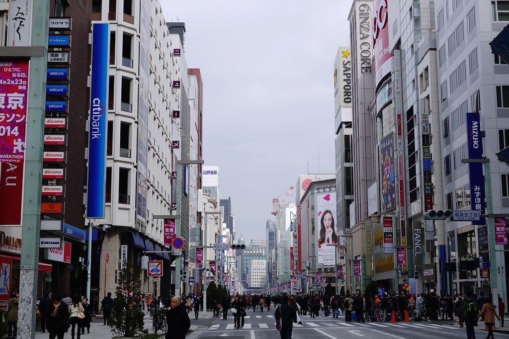 DSC00842.jpg