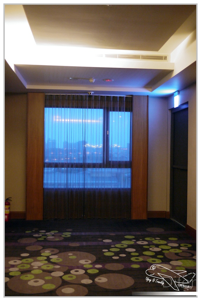P371.jpg