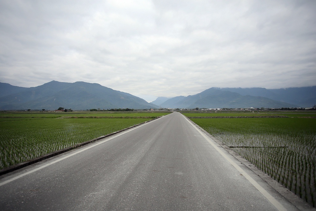 IMG_7317.jpg