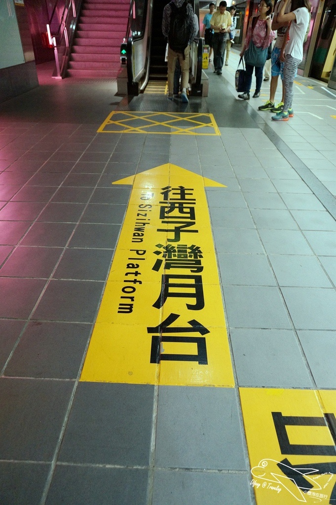 DSC02521.jpg