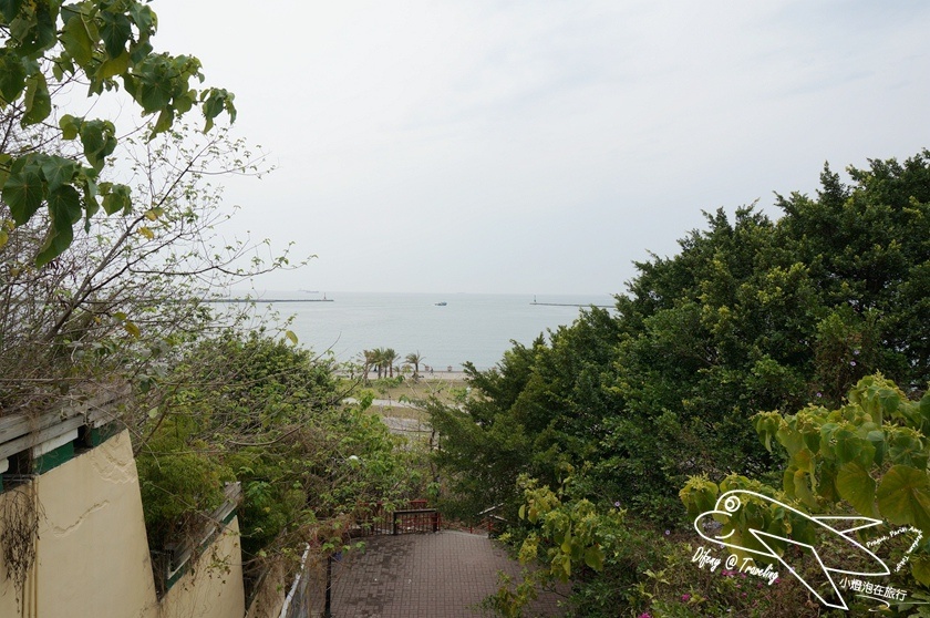 DSC02566.jpg