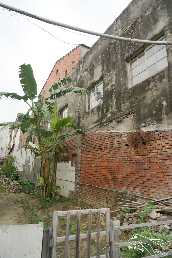 DSC02964.jpg
