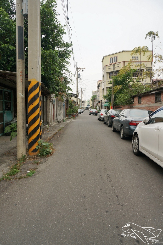 DSC02965.jpg